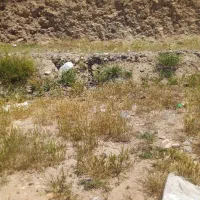 زمین مسکونی