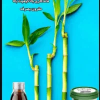 قرص کود|گل و گیاه طبیعی|ماکو, |دیوار