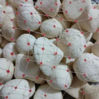 کشک گاوی