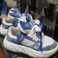 کتوتی لویی ویتون