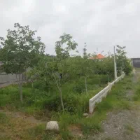 زمین باغی فروشی گلمکان با مجوز شهرداری