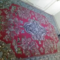 فرش 12متری|فرش|سمنان, |دیوار