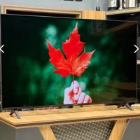 tv اقتصادی جی L|تلویزیون و پروژکتور|زنجان, |دیوار