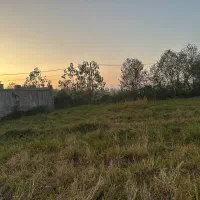 ۲۰۰ متر زمین مسکونی|فروش زمین و ملک کلنگی|رشت, یخسازی|دیوار