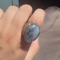 انگشتر شجر|جواهرات|قشم, |دیوار