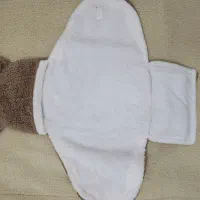 دور پیچ تدی