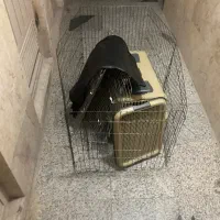 فروش چند تکه لوازم در حد نو سگ خانگی