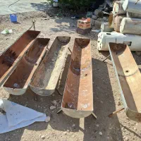 اخوره ی گوسفندی