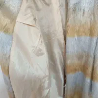 خزدار پالتو نو|لباس|فیرورق, |دیوار