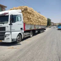 یونجه .کلش .جو درجه یک|لوازم جانبی حیوانات|اشکذر, |دیوار