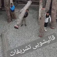 قالیشویی تشریفات شستشو صددرصد تضمینی|خدمات نظافت|مشهد, استاد یوسفی (شهرک غرب)|دیوار