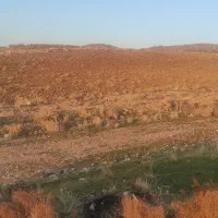 زمین دشمن زیاری نورآباد