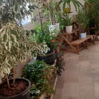 نظافت راه پله.  و واحد تخلیه انجام میدم