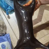 خیگه|لوازم جانبی حیوانات|سرپل ذهاب, |دیوار