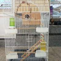 قفس یک متری