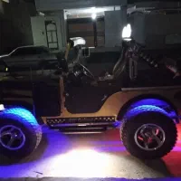 چیپ|خودرو کلاسیک|بوشهر, |دیوار