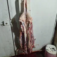 قصاب سیار|خدمات پذیرایی، مراسم|شیراز, دشت چنار|دیوار