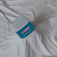 اسپیکر همراه