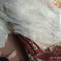 پرده طوری سالم. گیپور