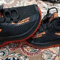 کفش|کیف، کفش، کمربند|کرمانشاه, |دیوار