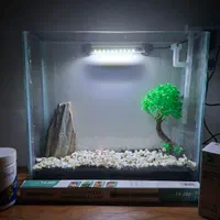 اکواریوم شیشه ای