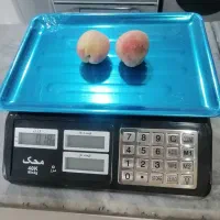 ترازو ۴۰ کیلویی محک با قیمت مناسب
