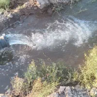 یک هکتار باغ پسته با دوساعت آب