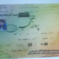 فوری حراج فروش جوجه پرندگان خانگی (انواع طوطی)