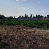 زمین باغی و کشاورزی چک و نقد و معاوضه با خودرو|فروش دفتر صنعتی، کشاورزی، تجاری|فرمهین, |دیوار