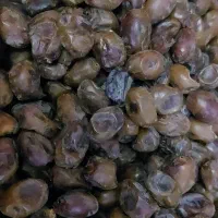 مقطوع علیا