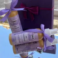 ادکلن و عطر فرانسه ،اسپری خوشبو کننده هوا|آرایشی، بهداشتی، درمانی|مریوان, |دیوار