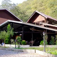 آشپز- مقیم در هتل