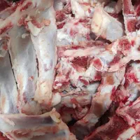 استخوان تازه دنده راسته قلوه گاه بره گوسفند