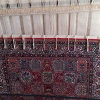 فرش دست باف|فرش|چنارود, |دیوار