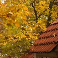 مدارک گم کردم
