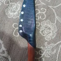 چاقو ۲۵ سانتی تیغه عالی زد زنگ