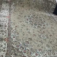 قالی 700شانه