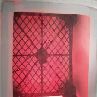 دستگاه جوجه کشی|لوازم جانبی حیوانات|مشهد, هنرور|دیوار