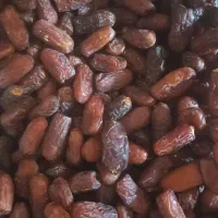 خرما پیارم|حراج|شیراز, زند|دیوار