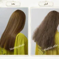 خدمات تخصصی احیا و  رنگ ولایت