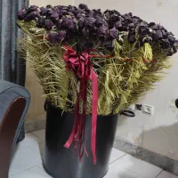 گل خشک با گلدان|گل و گیاه طبیعی|ری, هاشمآباد|دیوار