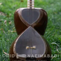 تار قوامی|سازهای سنتی|کرج, مهرویلا جنوبی|دیوار