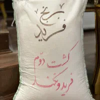 برنج کشت دوم فریدونکنار