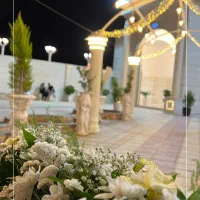 منشی خانم