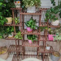 استند گلدان|گل و گیاه طبیعی|تهران, باغ خزانه|دیوار