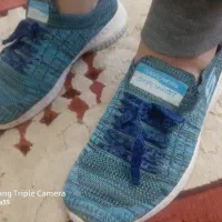 کفش|کیف، کفش، کمربند|نیشابور, عدالت|دیوار