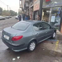 ۲۰۶ sdدوگانه بی رنگ