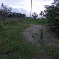 فروش فوری|فروش زمین و ملک کلنگی|لیسار, |دیوار