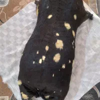 هیزه نو|ظروف پخت‌وپز|کوهدشت, |دیوار