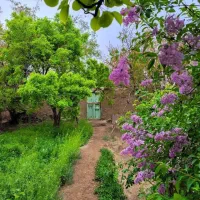 همکاری غیرحضوری اگر به دنبال یک فرصت همکاری